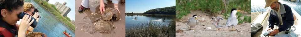 hypoxia-long-island-sound-study