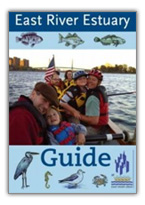 East River Estuary Guide