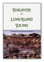 Seaweeds of Long Island Sound