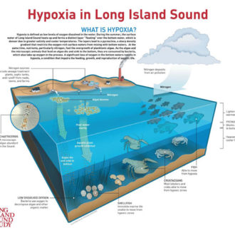 What is hypoxia?