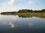 Udalls Cove - Long Island Sound Study