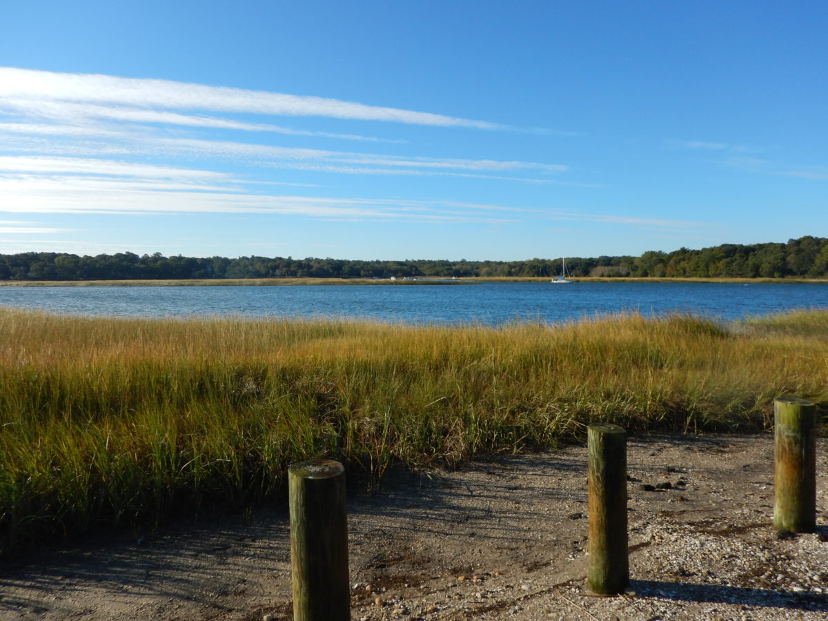 Nissequogue River - Long Island Sound Study