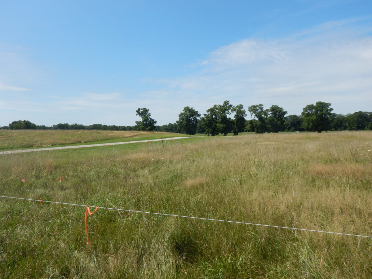 Lloyd Neck - Long Island Sound Study