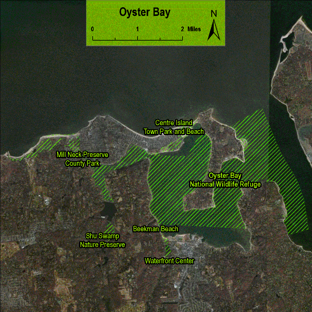 OysterBay