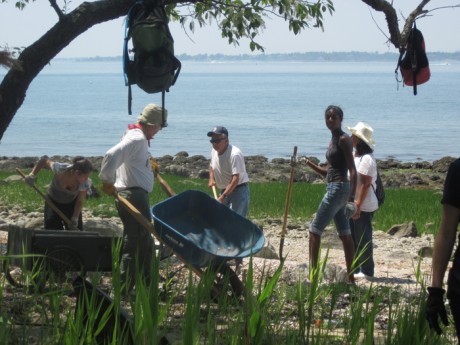Volunteers helping to restore a trail at Sheffield Island, a Long Island Sound Stewardship Area.