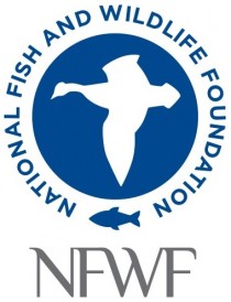 NFWF Logo high resolution
