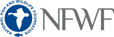 NFWF_logo_standard_2012 high resolution