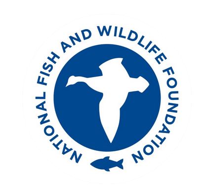 National Fish and Wildlife Foundation logo with text reading "National Fish and Wildlife Foundation".  