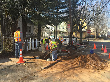 A GreenSkills job crew constructs a bioswale on Watson Street in New Haven.