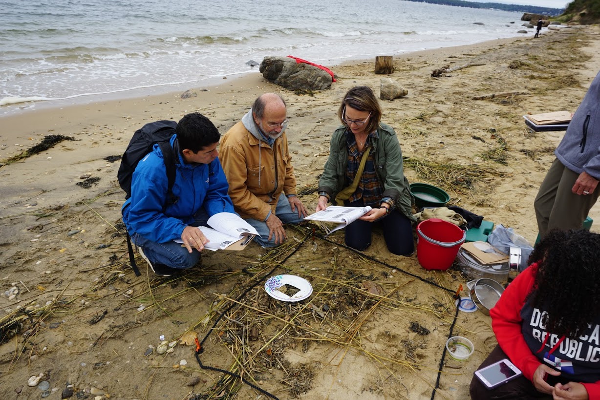 Mentor Teacher Hildur Palsdottir (in green) and workshop attendees conduct a plot study to collect microplastics at Sands Point Preserve in Sands Point, NY.