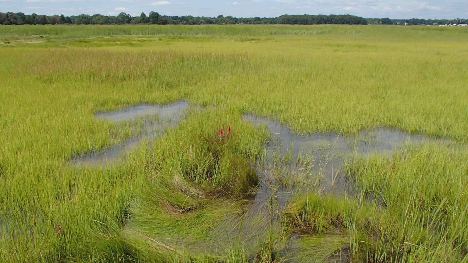 coastal-planner-long-island-sound-study