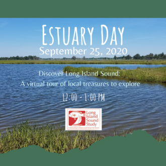 Cover image of the Estuary Day event flyer for the Long Island Sound Study's webinar, which took place September 25, 2020, at noon through Zoom