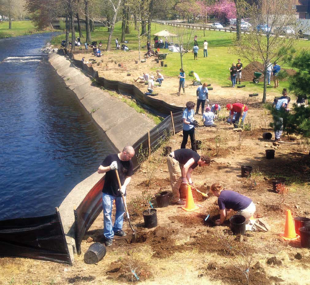 A volunteer-based habitat planting effort supported by the Futures Fund plants riparian habitats along the Pequonnock River. 