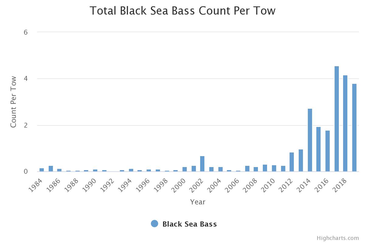 A graph represents the increasing number of black sea bass in the Long island Sound region. 