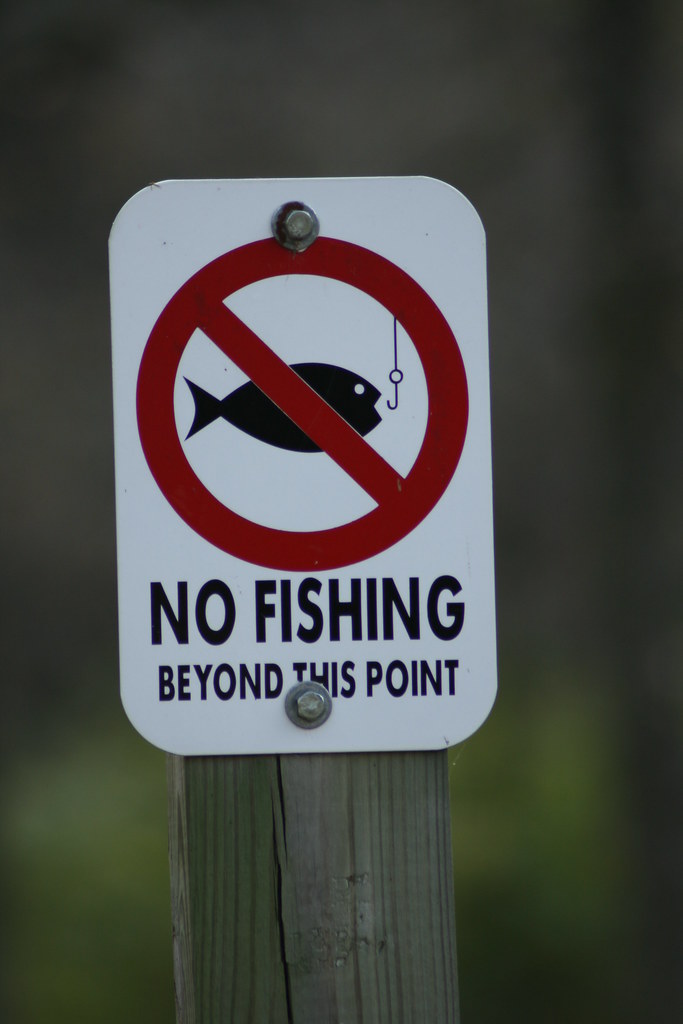 A sign that says "No fishing beyond this point" is nailed to a signpost.