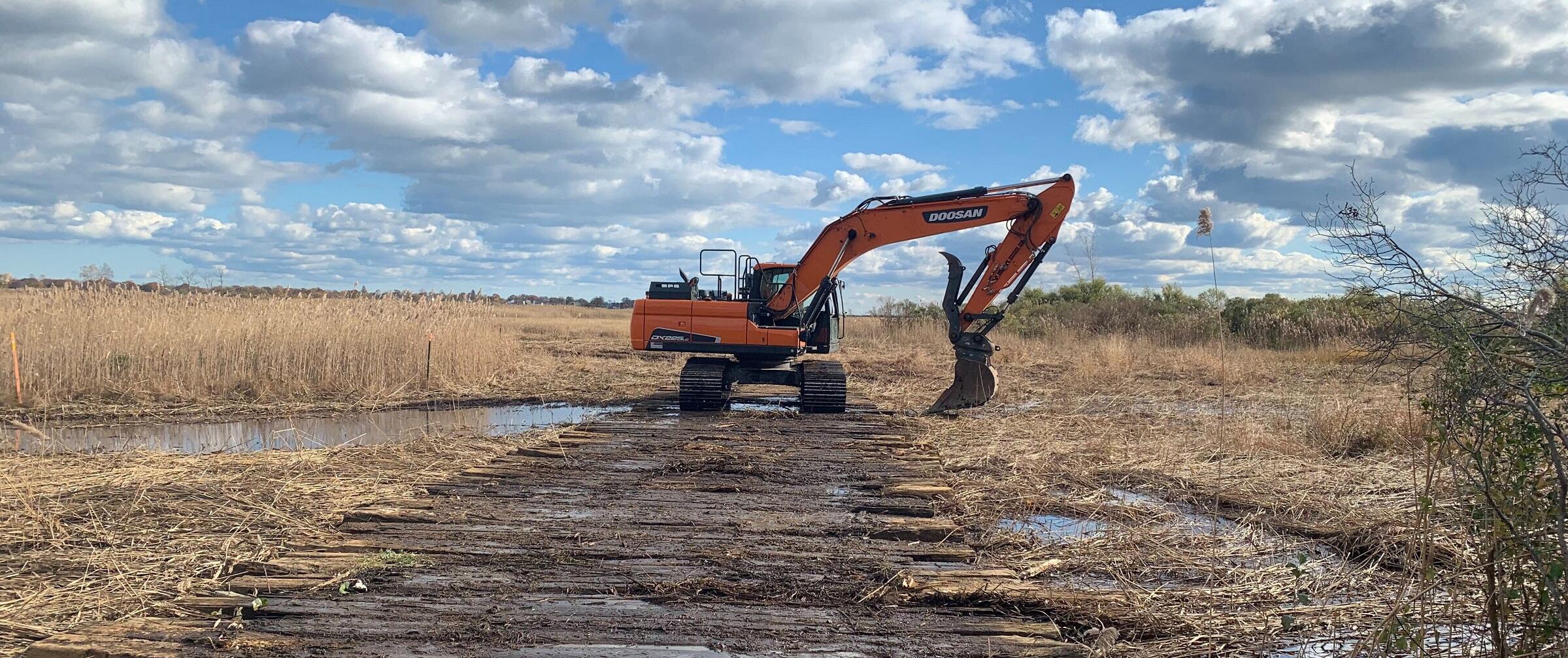 An orange excavator removes invasive phragmite from marsh at the Great Meadows.