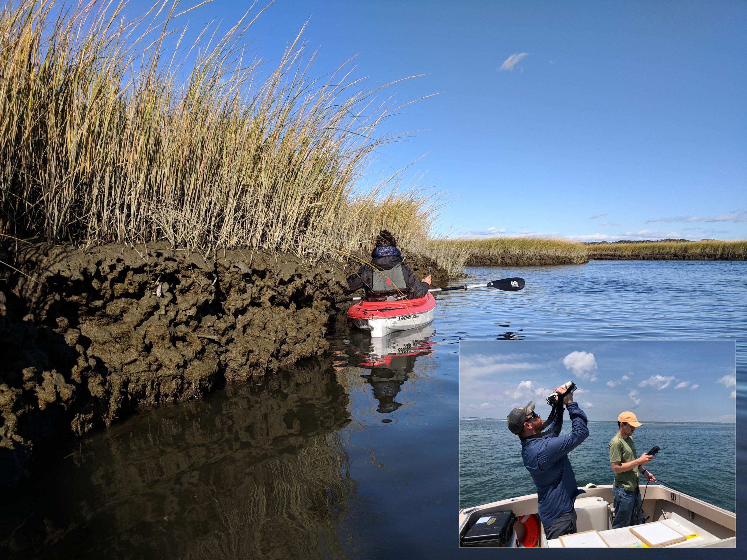 Nine research projects focus on Long Island Sound marshes, water