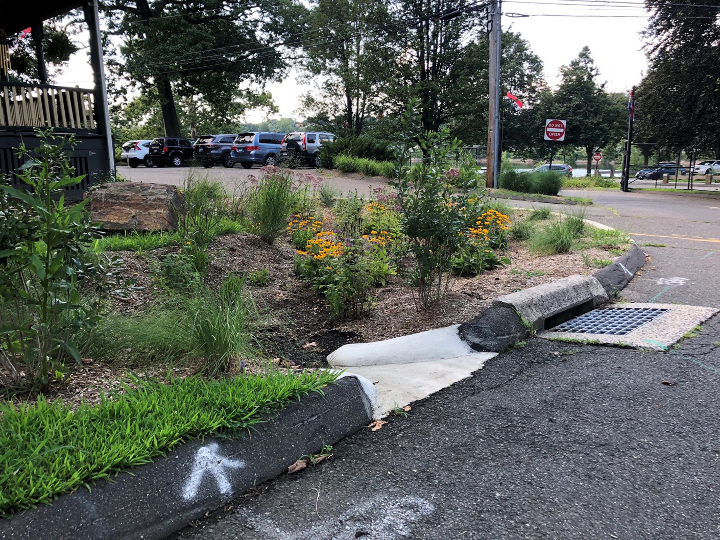 At the Beardsley Park Zoo in Bridgeport, CT stormwater travels through the curb cut into the vegetation of this rain garden for treatment instead of directly entering the storm drain.