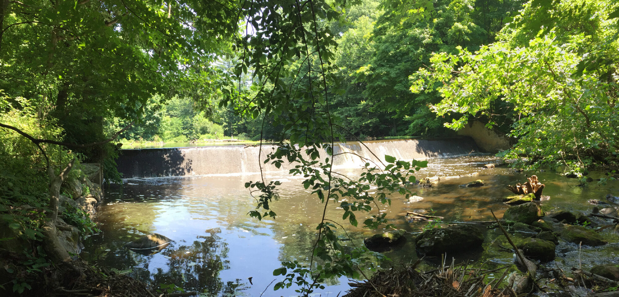 BIL funding will help support removal of the Strong Pond Dam in Wilton, CT. The dam is a barrier to fish migration between the Sound and upstream habitat. A photo from Save the Sound