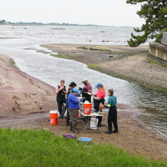 Scientists count and measure oysters at Fence Creek in Madison, Connecticut. Photo Credit: NOAA Fisheries/Kristen Jabanoski