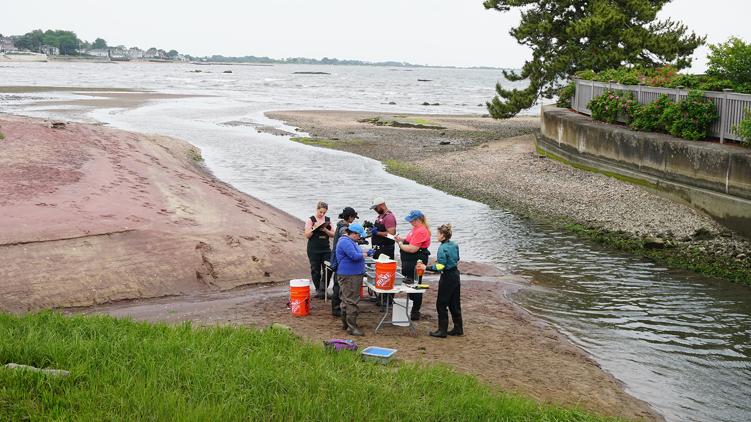 Scientists count and measure oysters at Fence Creek in Madison, Connecticut. Photo Credit: NOAA Fisheries/Kristen Jabanoski