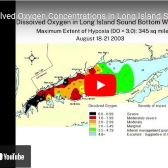 The image is of a screenshot of a YouTube animated video of a map depicting maximum extent of hypoxia in 2003 in Long Island Sound. The video shows each of these annual maps from 1991 to 2022.
