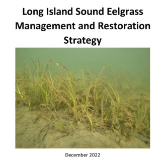 Cover image of the Long Island Sound Eelgrass Management and Restoration Strategy