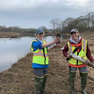 Crosby and Spiller collecting biomass samples at the Oyster River research site in Milford, CT.