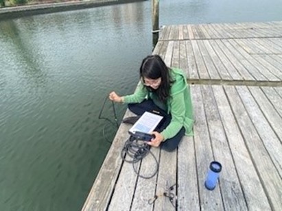 Figure 4. Water quality measurements such as temperature, salinity, and pH were taken at each site using a water sonde. Photo courtesy of Johanna Mazer.