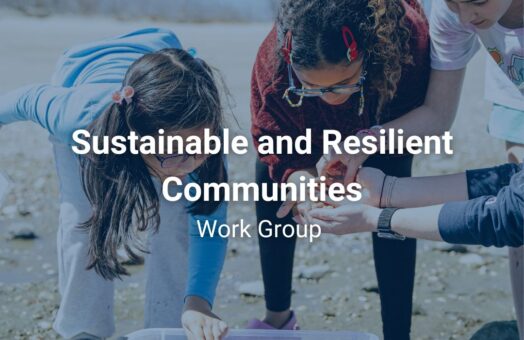 image for Sustainable and Resilient Communities Work Group