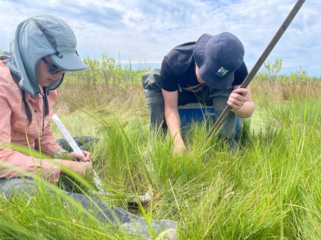 Photo: Research Assistant Nicolette Nelson, left, and a research technician evaluate the vegetation at the Hummocks. We also take soil samples from each location where we evaluate the vegetation, to compare plants and soil characteristics.  Photo by Madeline Kollegger.