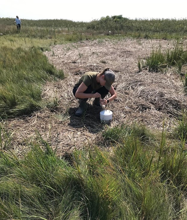 PhD Candidate Madeleine Meadows-McDonnell takes a greenhouse gas sample at the hummocks (Photo Credit  Nicolette Nelson
