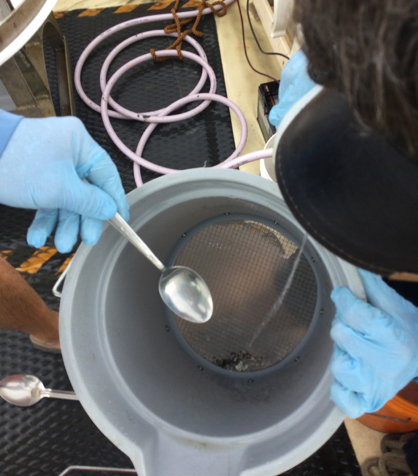 Sediment samples are placed on a sieve and washed to remove sediment and expose macroinvertebrates. Photo courtesy of EPA.