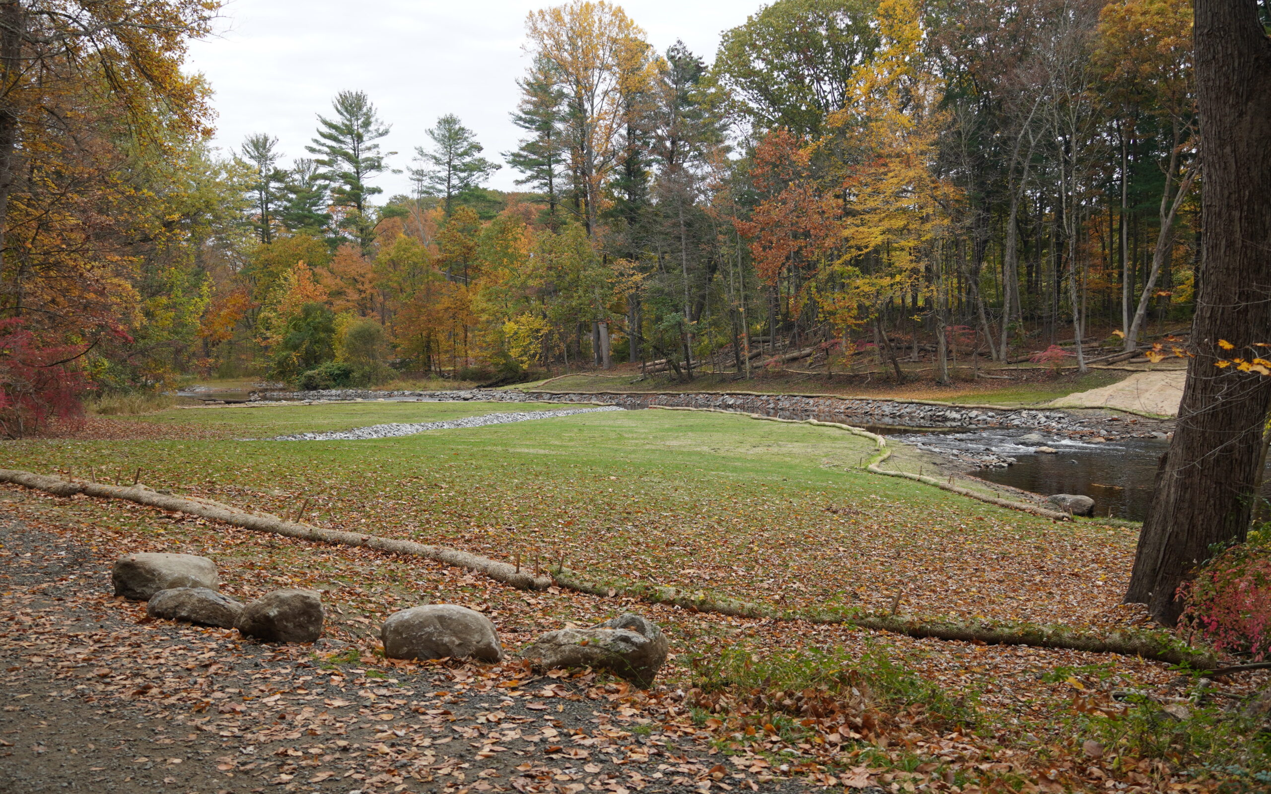 A wide view of Strong Pond Dam in Wilton, Connecticut. It is autumn, and the leaves int he tree line are dak green, burnt orange, and mustard yellow. The restored dam is surrounded by long thin logs on each edge. There are 5 medium sized rocks in the foreground. 