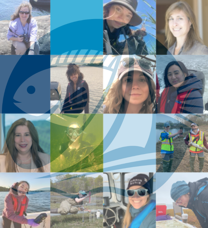A grid mosaic of photos of the women in science featured, overlayed with the Long Island Sound Study logo. 
