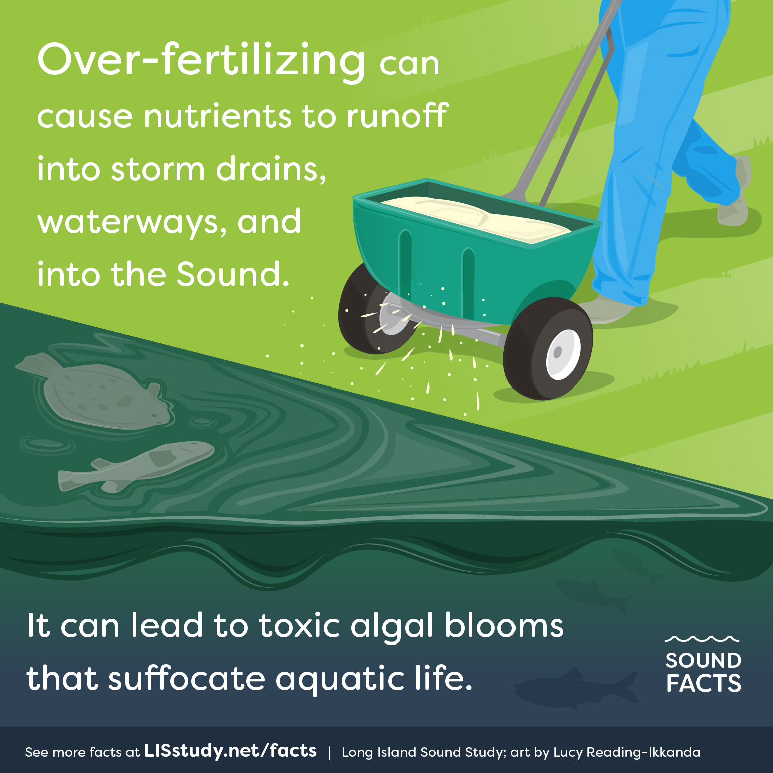 An illustration of someone fertilizing their lawn, and the fertilizer polluting nearby water and killing fish.