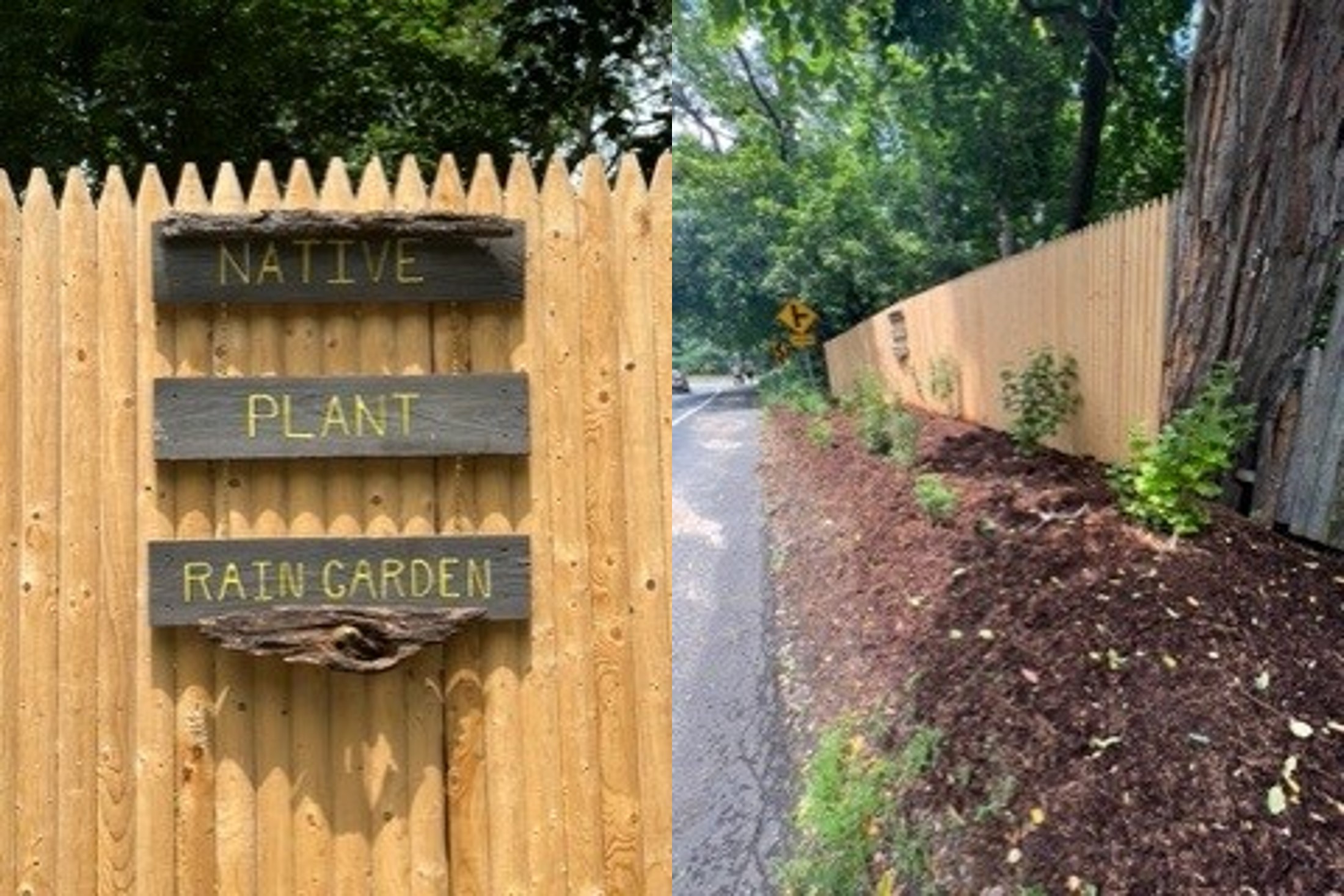 Two images. On the left, three darks igns against a wooden fence that read "Native Plant Rain Garden". On the right is a mulch garden with plants against the fence.
