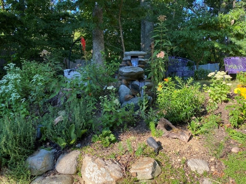 A backyard garden with a stone waterfall in the shade.