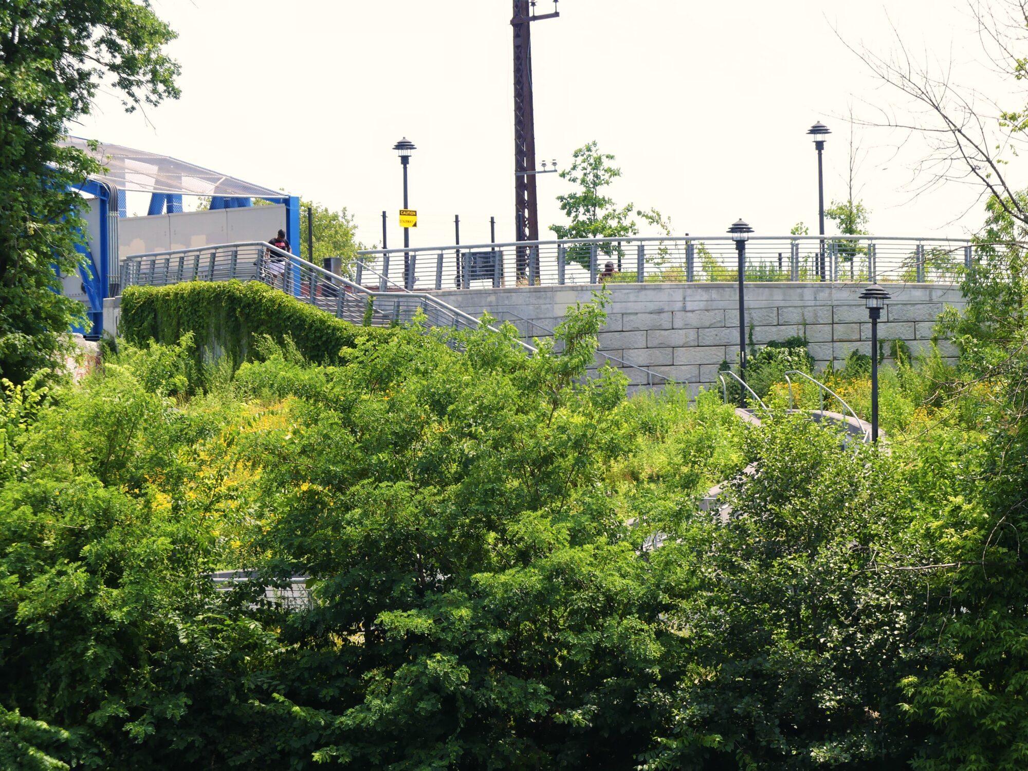 One of many walking bridges overlooking Concrete Plant Park and the edible food forest. Photo by Maya Ray