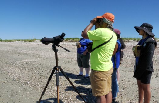 image for Building Ladders to Conservation Careers