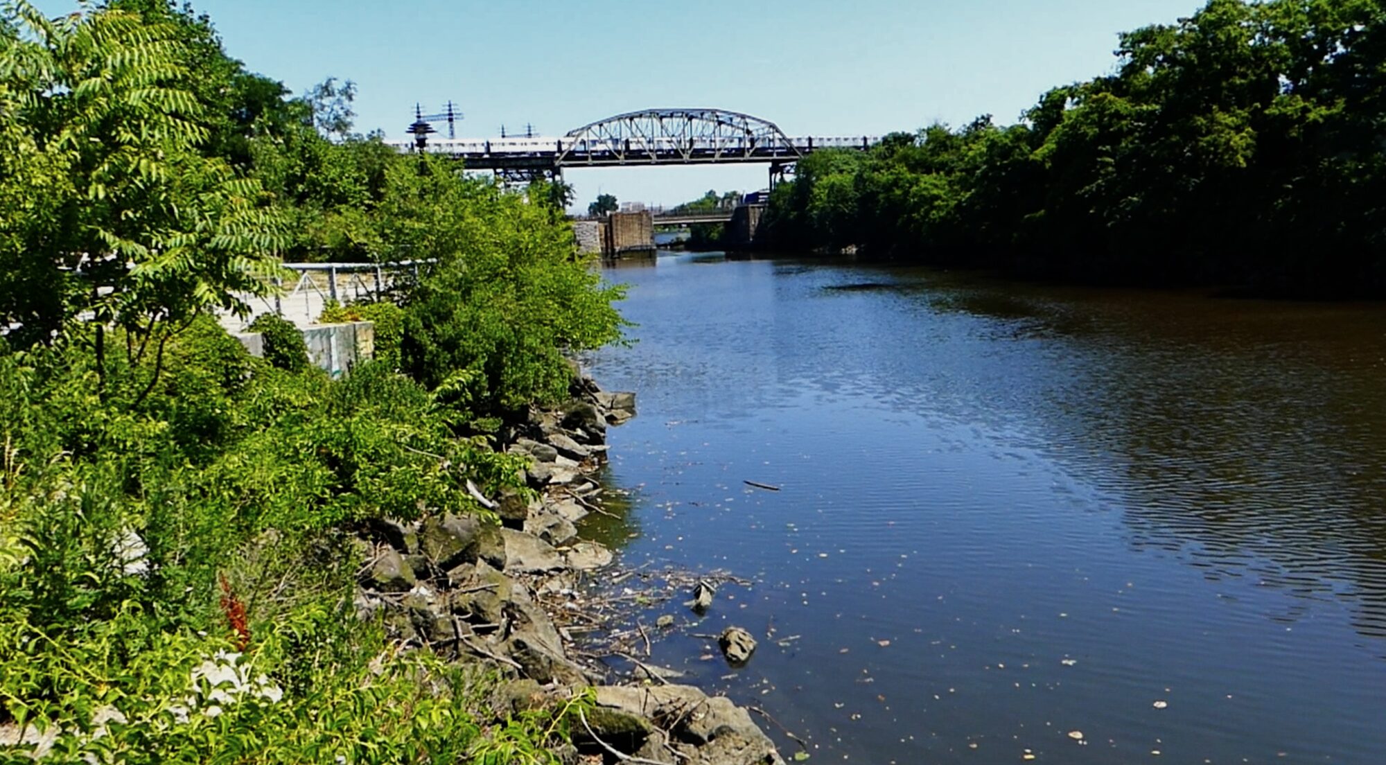 The Bronx River, next to Concrete Plant Park. Photo by Maya Ray