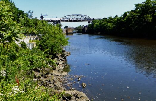 image for Creating a Resilient Bronx River Community