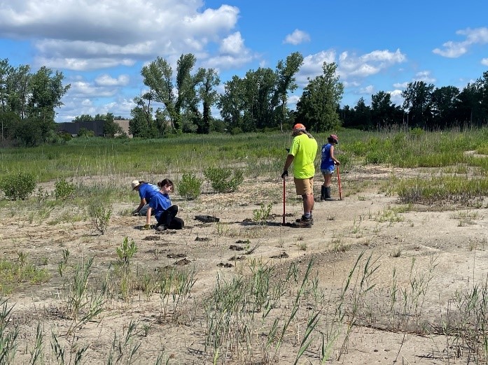 Will and the WildLife Guards planting native species in Great Meadows Marsh. Photo by Maya Ray.