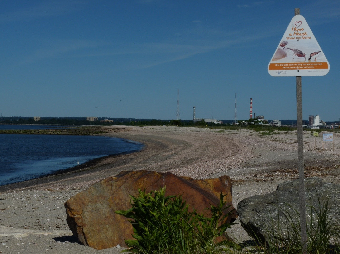 The shores of Long Beach, with a sign inviting people to share the shore with wildlife. Photo by Maya Ray.