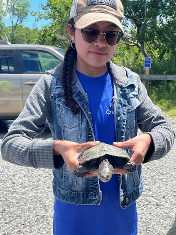 A WildLife Guar holding a diamondback terrapin turtle in her hands. Photo by Maya Ray.