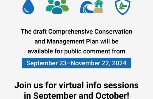 image for Register for Virtual CCMP Public Information Sessions