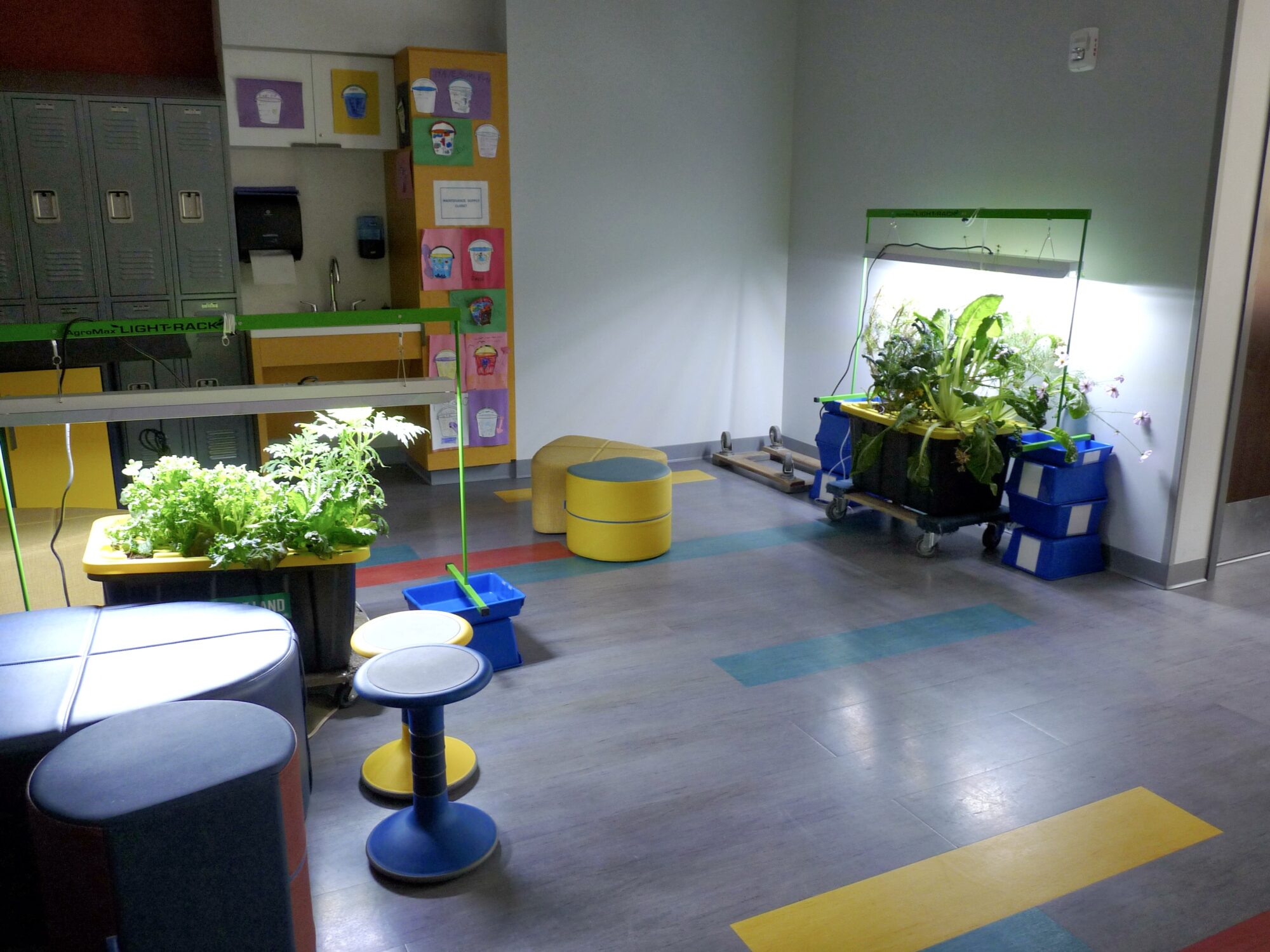 A colorful classroom area with yellow and blue floor tiles. Plants on tables and posters on the walls. 