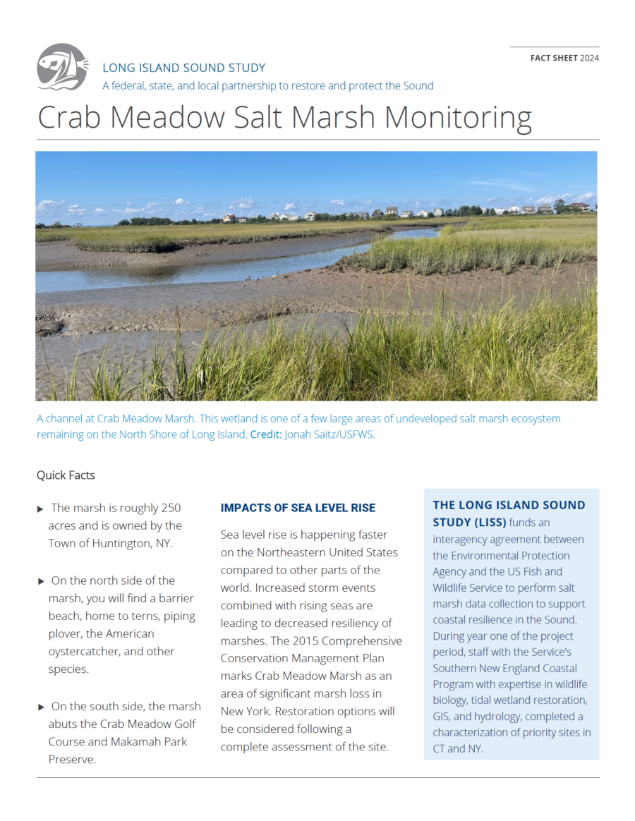 A fact sheet on salt marsh monitoring.