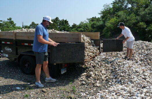 image for Food Scraps to Save the Sound, A Shell Recycling Story