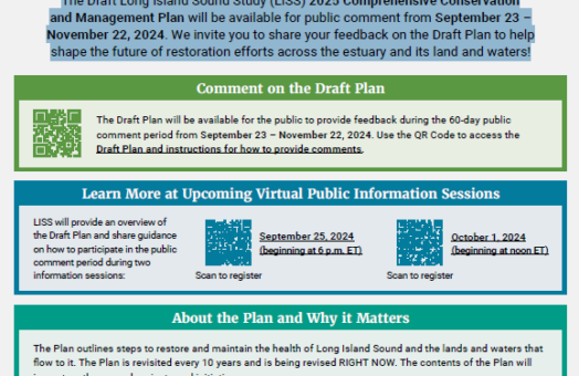 image for Draft CCMP Public Information Session Flyer